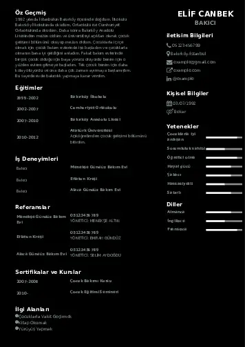 Bakıcı Cv Örnekleri cv indir